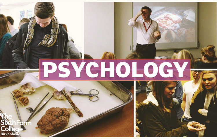 Image of Psychology Set To Remain Students' Most Popular Choice