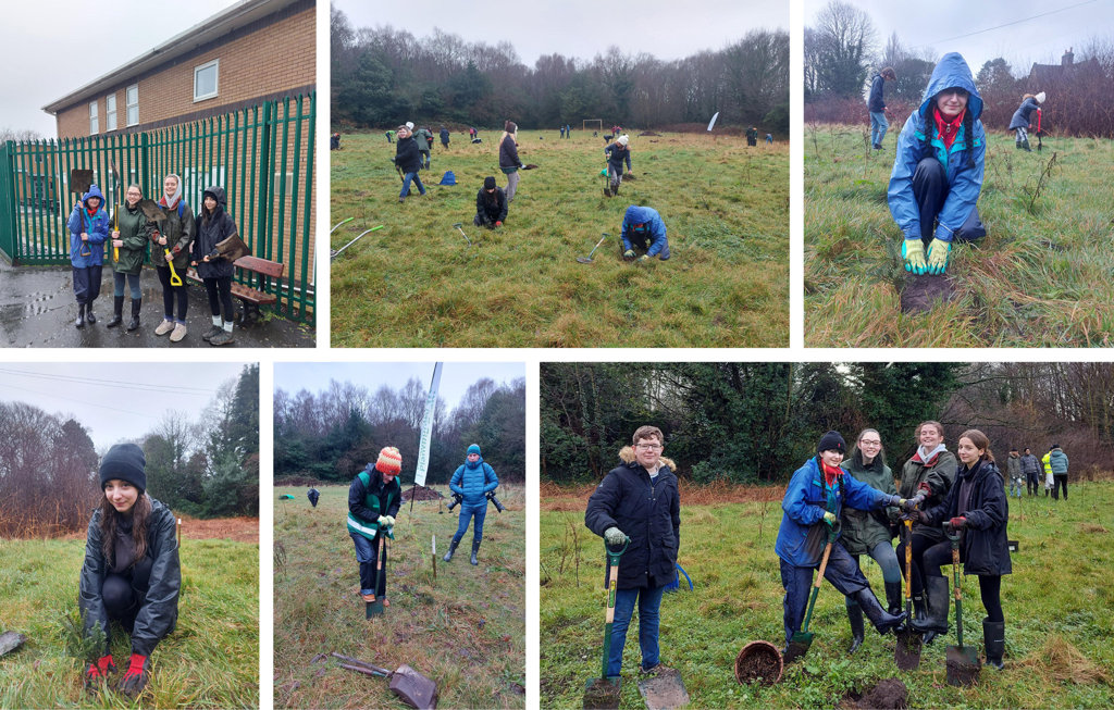 Image of Environmental Science students get involved in tree-planting project