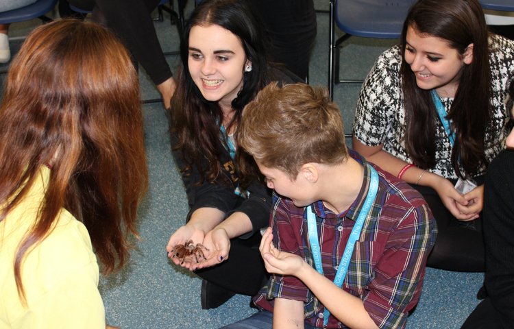 Image of Psychology students faced their fears when The Creepy Crawly Show came to College